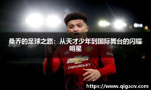 桑乔的足球之路：从天才少年到国际舞台的闪耀明星